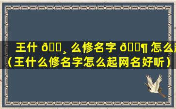 王什 🌸 么修名字 🐶 怎么起（王什么修名字怎么起网名好听）